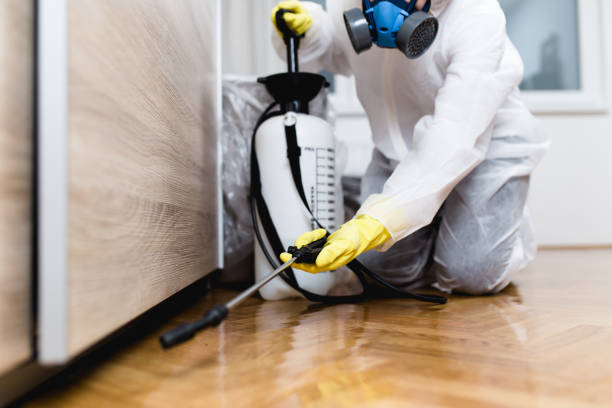 Best Pest Control Near Me  in Bon Secour, AL