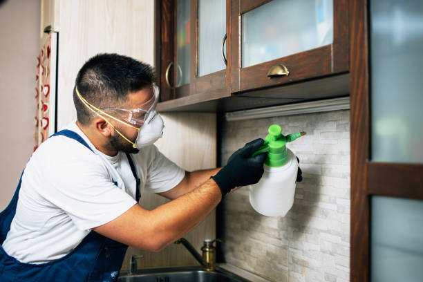Best Affordable Pest Control Services  in Bon Secour, AL