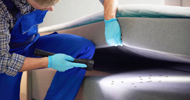 Best Cockroach Control Services  in Bon Secour, AL