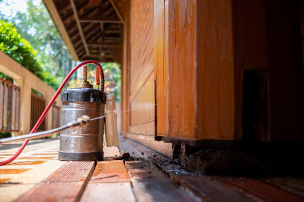 Best Affordable Pest Control Services  in Bon Secour, AL