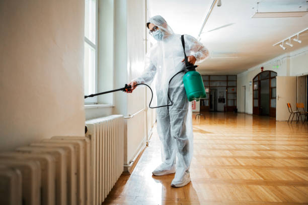 Wasp Removal Services in Bon Secour, AL