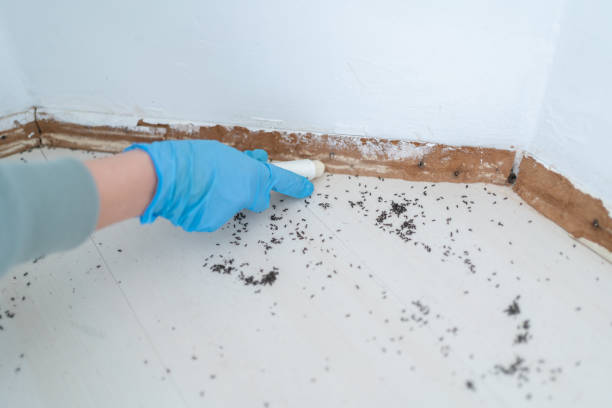 Best Exterminator Services  in Bon Secour, AL