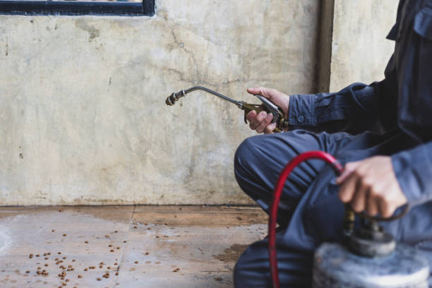 Best Best Pest Control Near Me  in Bon Secour, AL