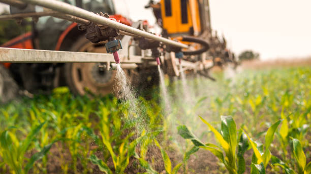 Best Commercial Pest Control Services  in Bon Secour, AL